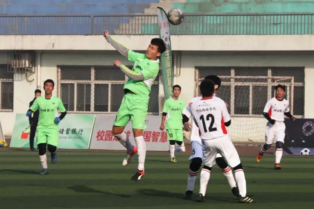 头号玩家龙8